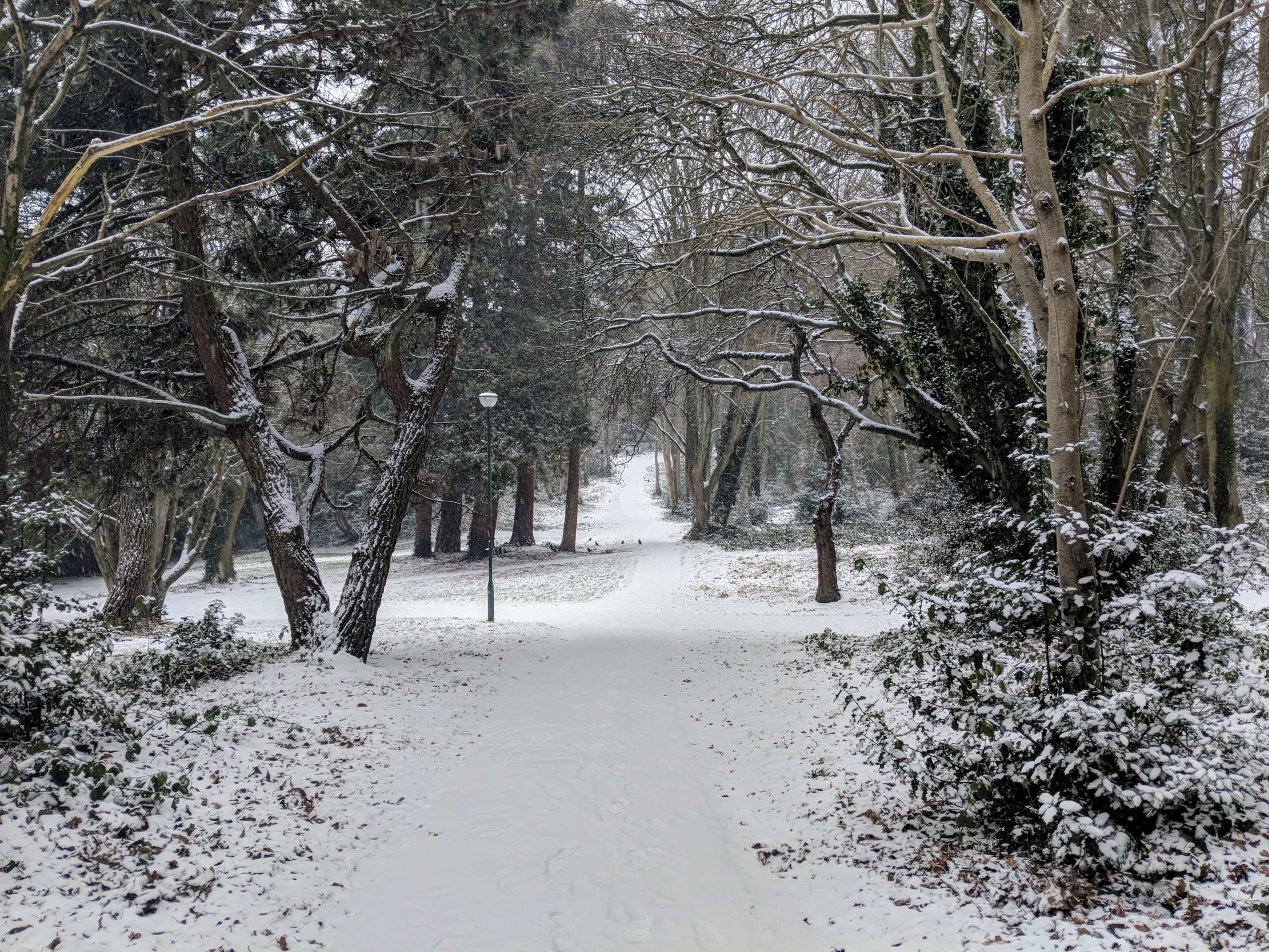 Walking Bournemouth Gardens Coy Ponds The So Far